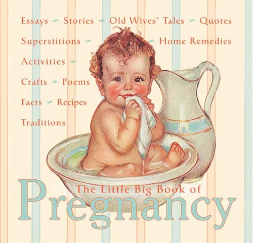 The Little Big Book of Pregnancy