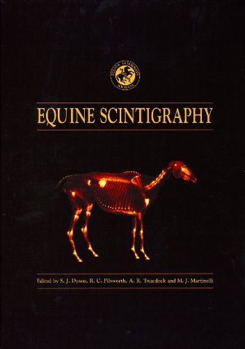 Equine scintigraphy