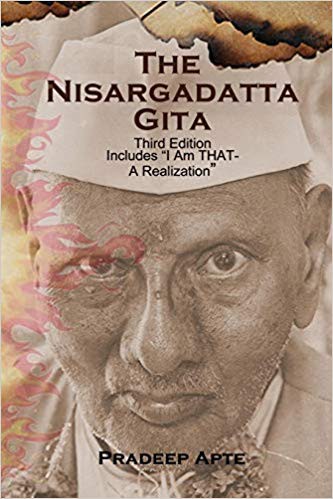 The Nisargadatta Gita