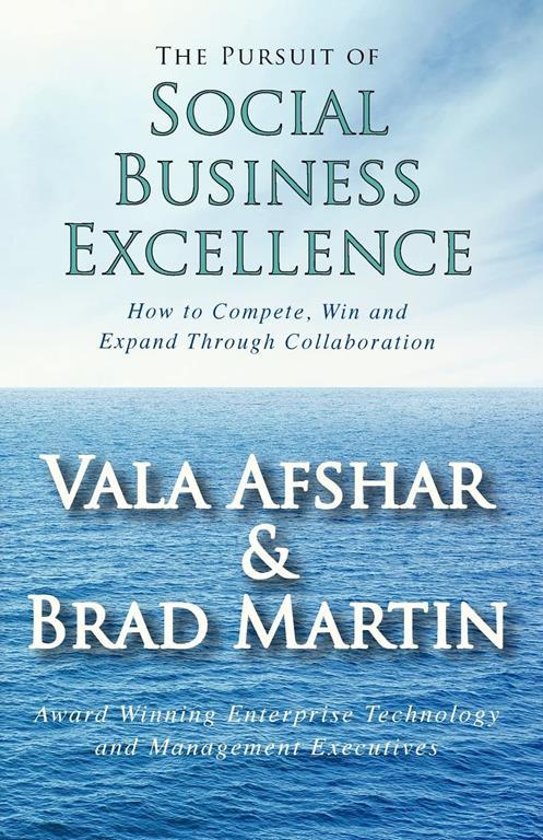 The Pursuit of Social Business Excellence