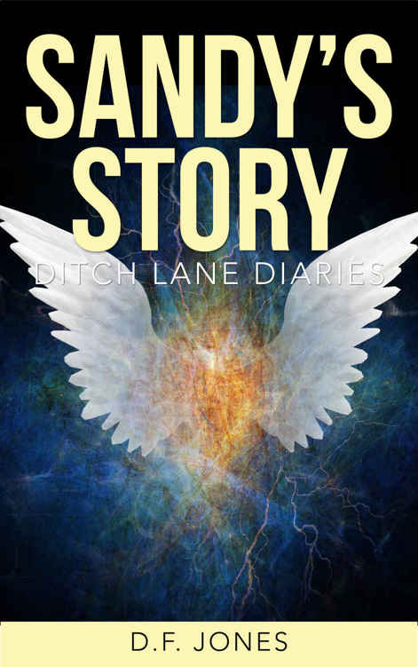 Sandy's Story (Ditch Lane Diaries) (Volume 3)