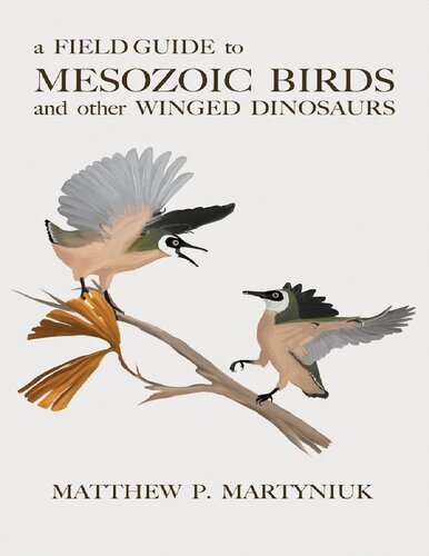 A Field Guide to Mesozoic Birds and other Winged Dinosaurs