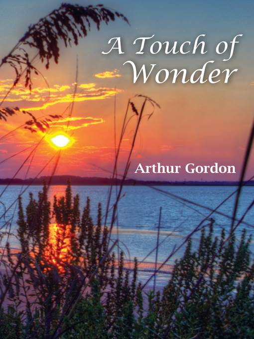 A Touch of Wonder