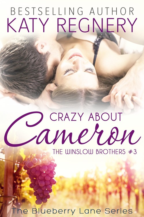 Crazy about Cameron, the Winslow Brothers #3