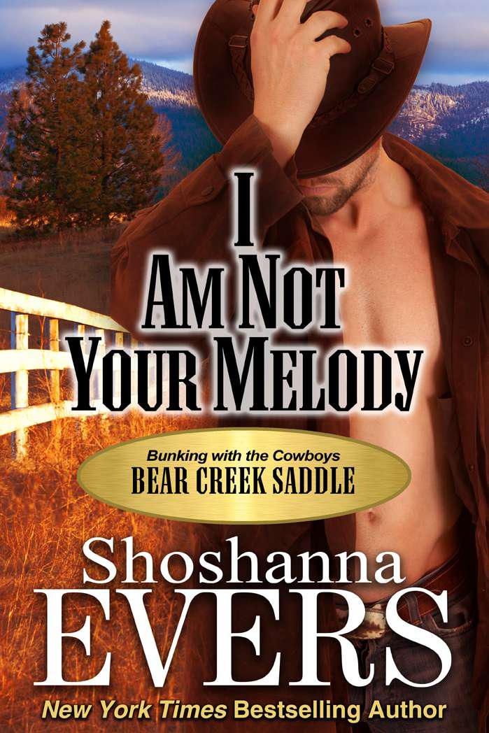 I am Not Your Melody (steamy cowboy romance)