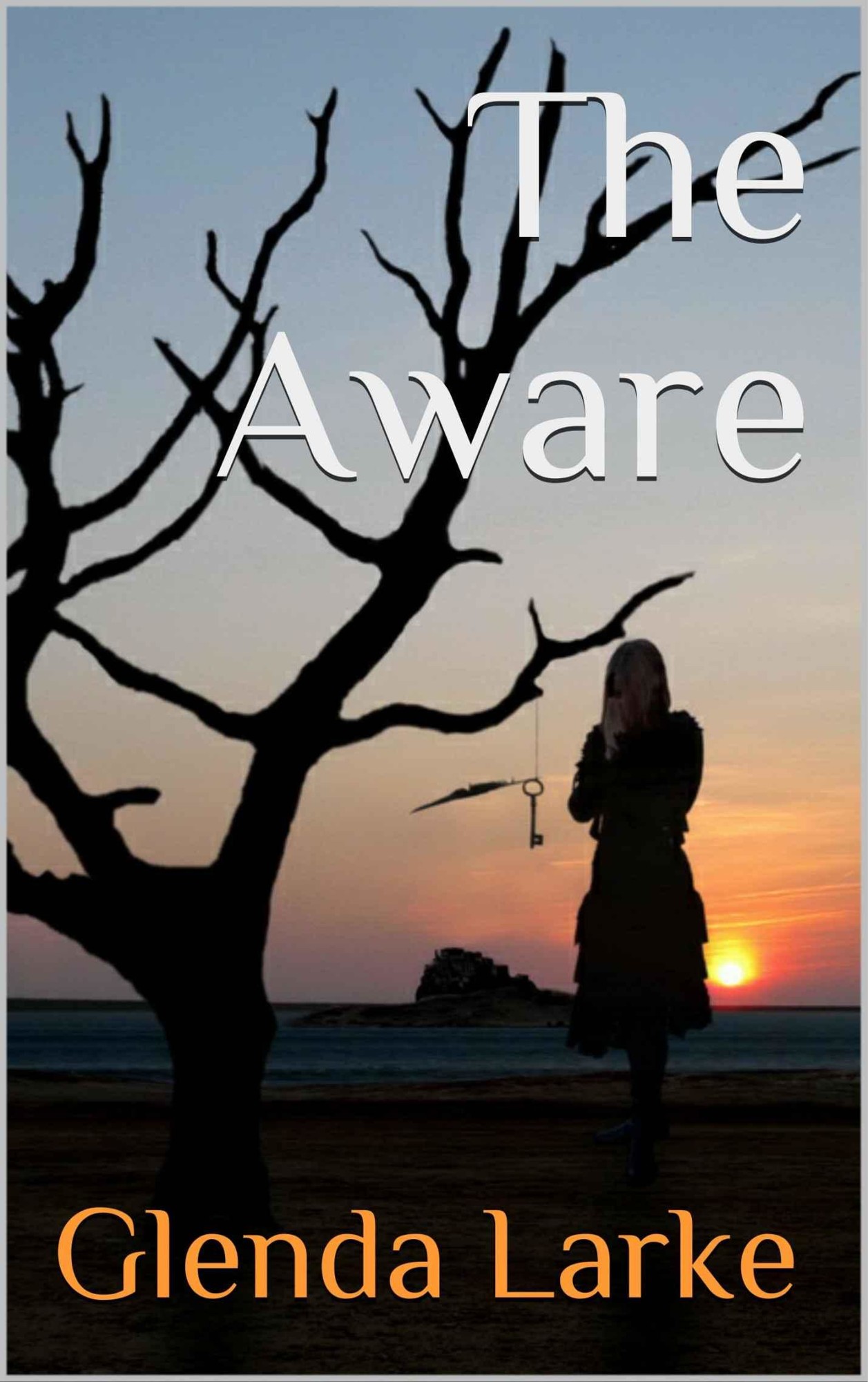 The Aware