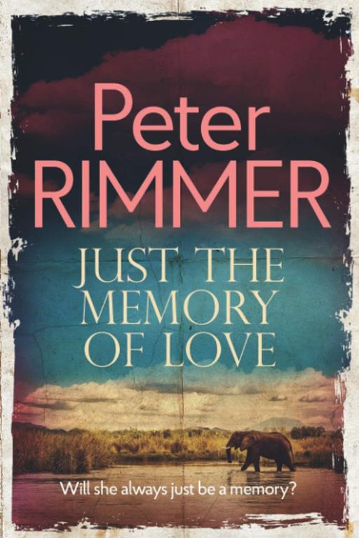 Just the Memory of Love (The African Book Collection)