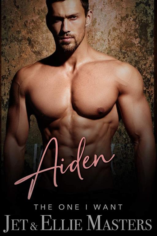 Aiden: A Single Dad, Second Chance Romantic Suspense (The One I Want)