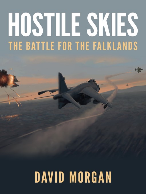 Hostile Skies