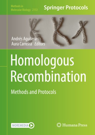 Homologous recombination : methods and protocols