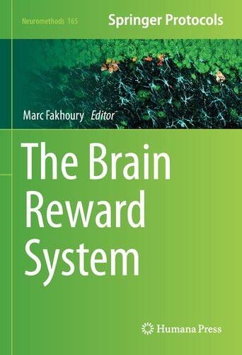 The brain reward system