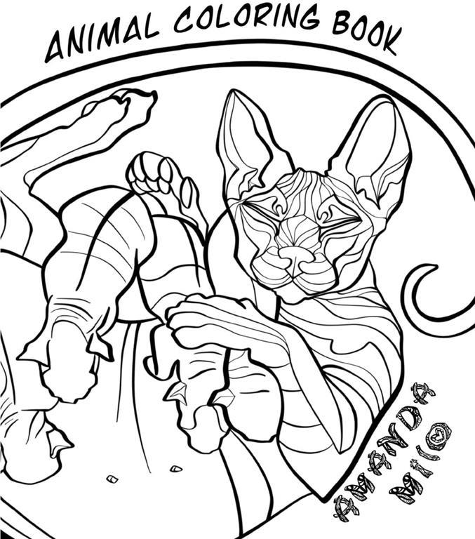 Animal Coloring Book