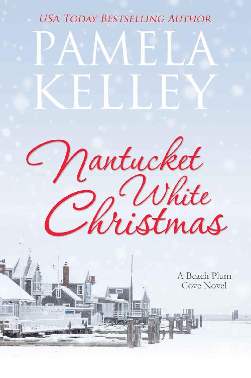 Nantucket White Christmas (Beach Plum Cove #3)