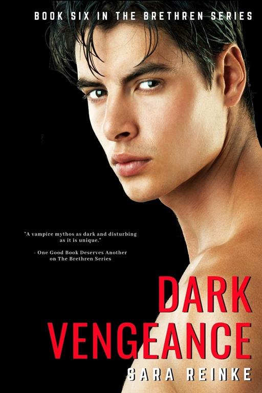 Dark Vengeance (The Brethren Series)