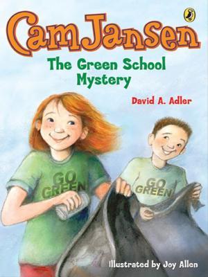 Cam Janesn and the Green School Mystery