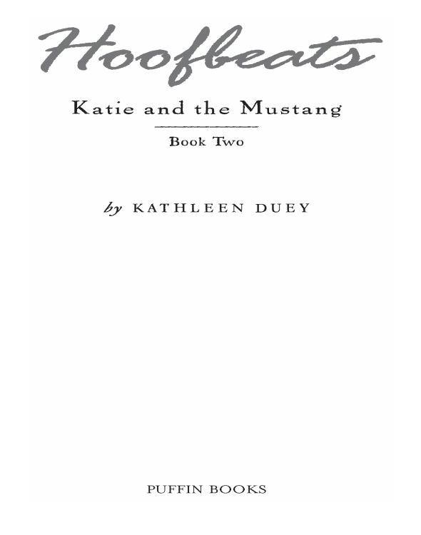 Katie and the Mustang, Book 2