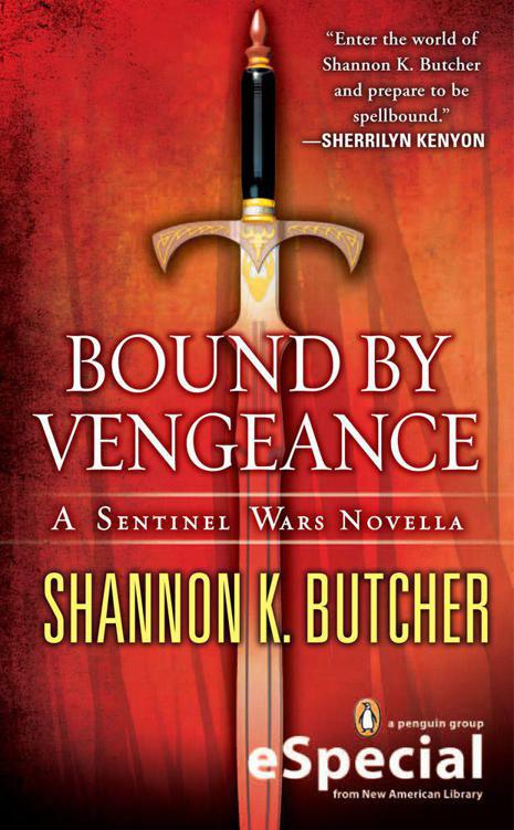 Bound By Vengeance