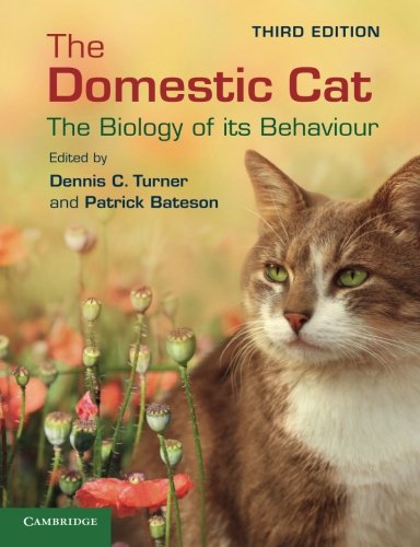 The Domestic Cat