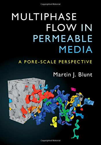 Multiphase Flow in Permeable Media