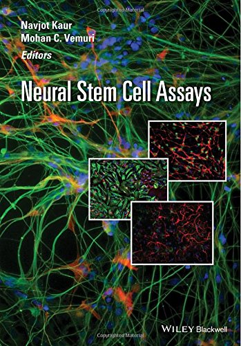 Neural Stem Cell Assays
