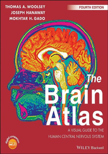 The Brain Atlas