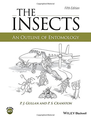 The Insects