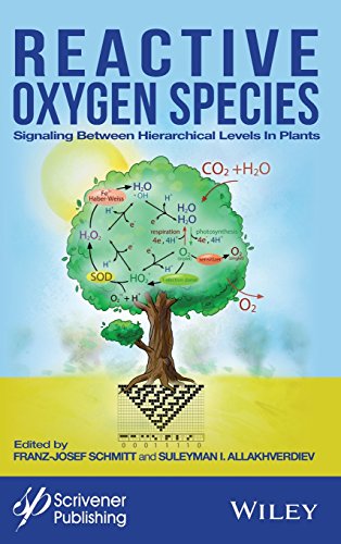 The Role of Reactive Oxygen Species