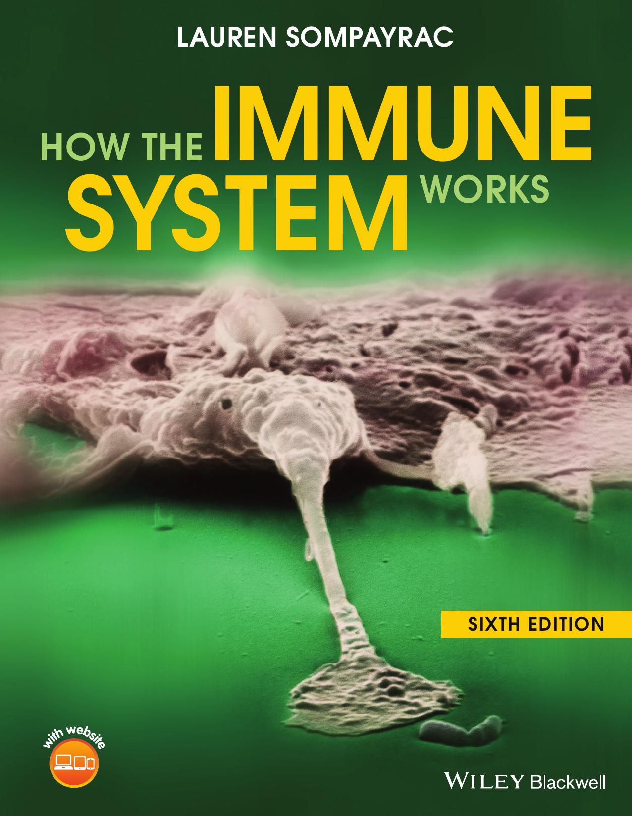 How the Immune System Works