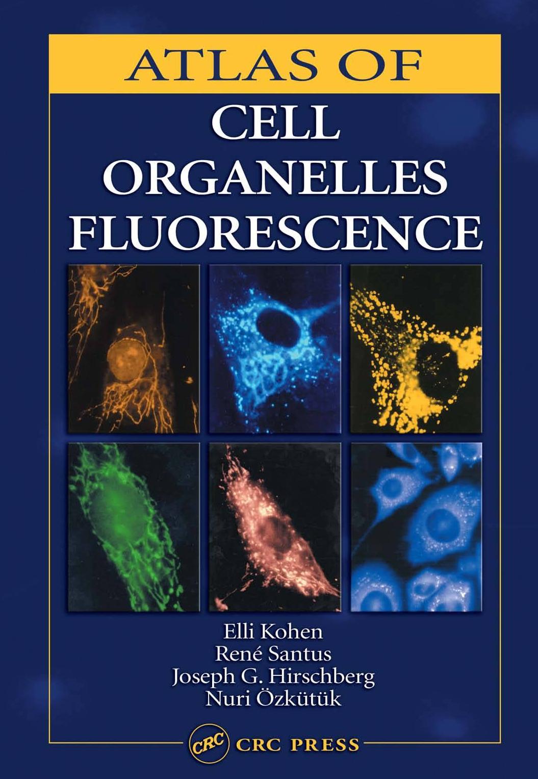 Atlas of cell organelles fluorescence