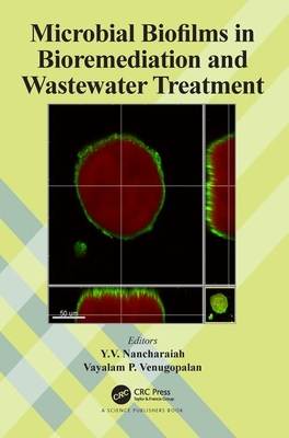 Microbial Biofilms in Bioremediation and Wastewater Treatment