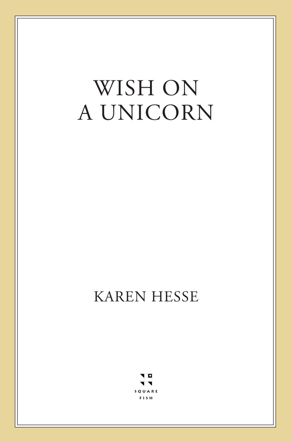 Wish on a Unicorn
