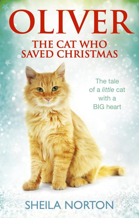 Oliver the Cat Who Saved Christmas