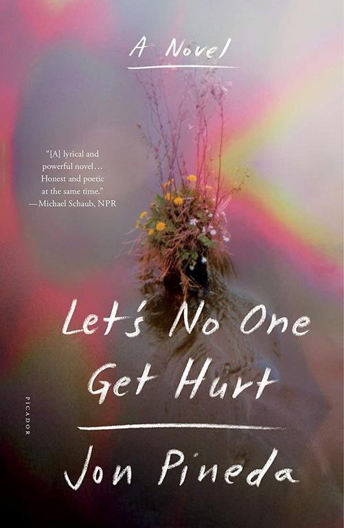 Let's No One Get Hurt: A Novel