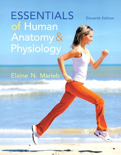 Essentials of human anatomy & physiology