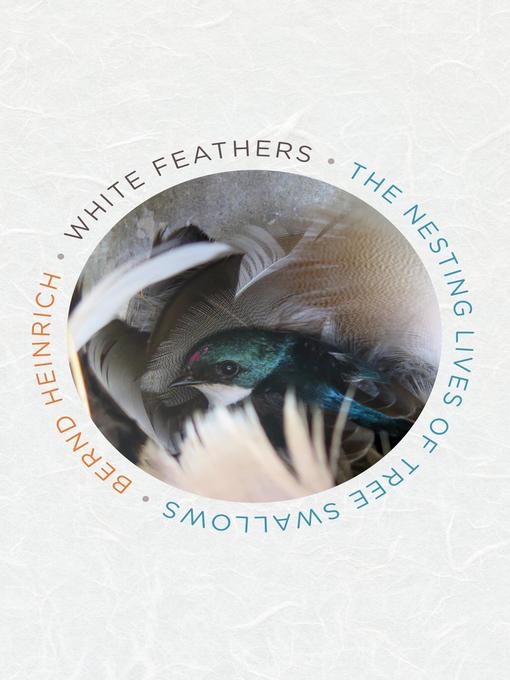 White Feathers