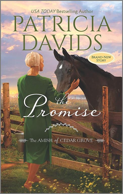 The Promise: A Clean &amp; Wholesome Romance (The Amish of Cedar Grove)