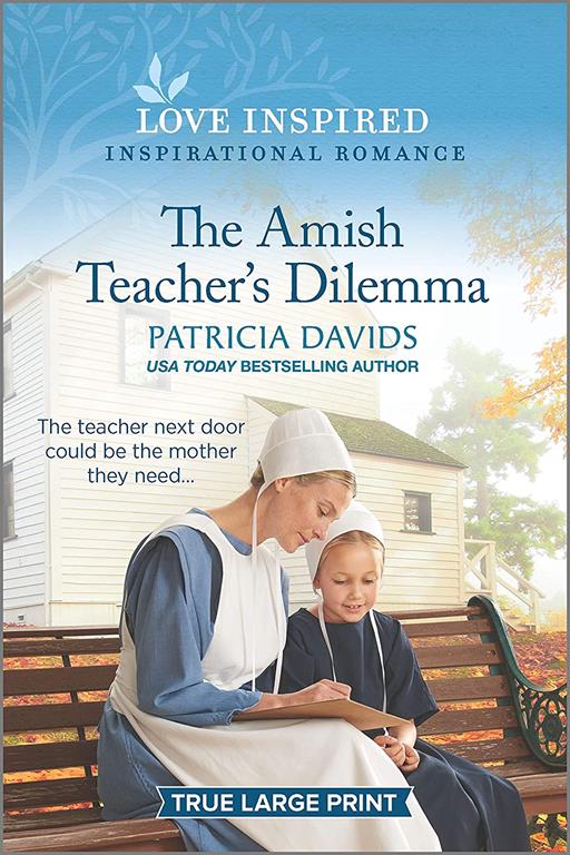 The Amish Teacher's Dilemma (North Country Amish, 2)