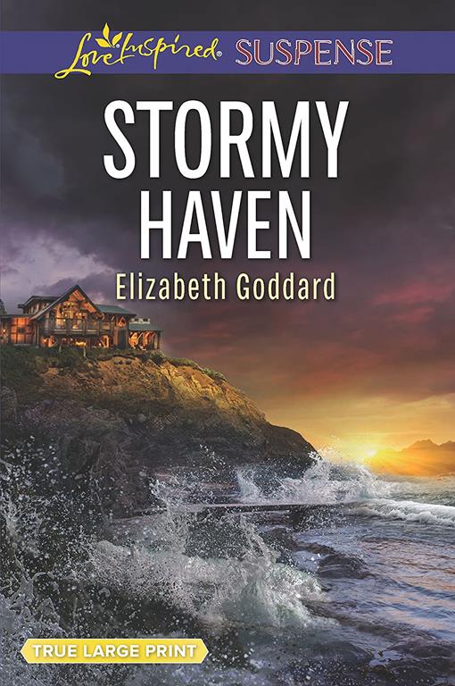 Stormy Haven (Coldwater Bay Intrigue)