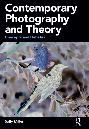 Contemporary Photography and Theory