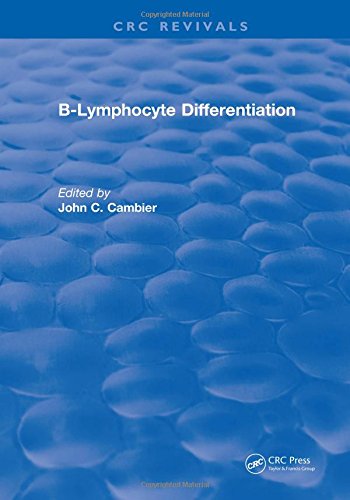B-Lymphocyte Differentiation.