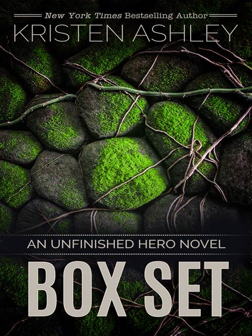 An Unfinished Hero Series Box Set