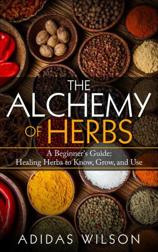 The Alchemy of Herbs--A Beginner's Guide