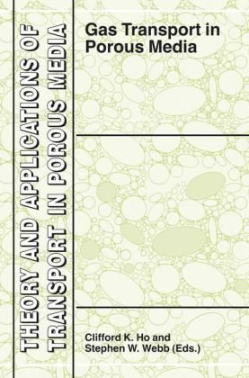 Gas Transport in Porous Media