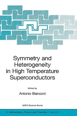 Symmetry And Heterogeneity In High Temperature Superconductors