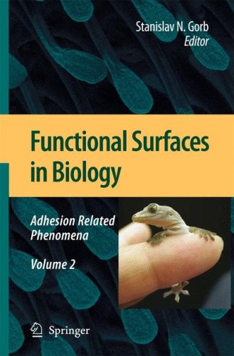 Functional Surfaces In Biology, Volume 2