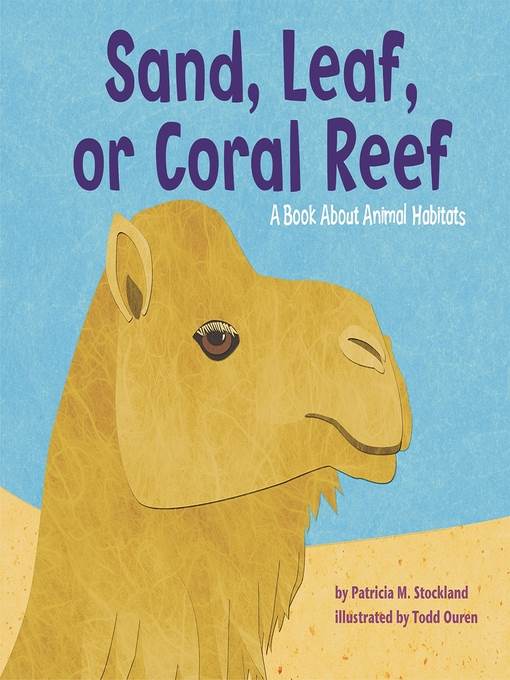 Sand, Leaf, or Coral Reef