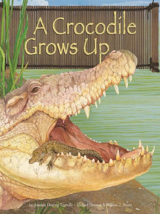 A Crocodile Grows Up