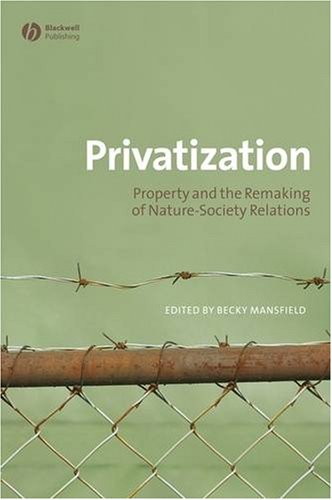 Privatization