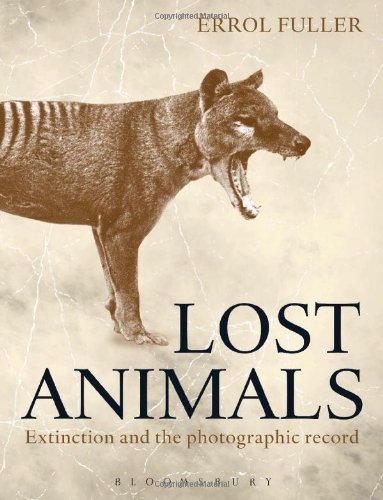 Lost Animals