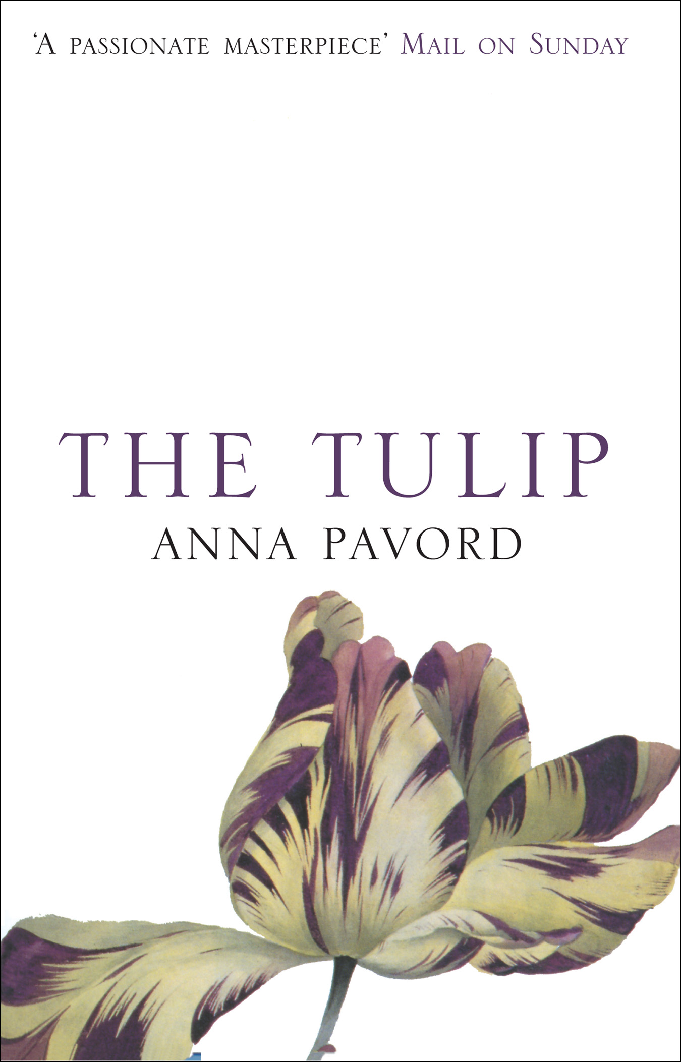 The Tulip